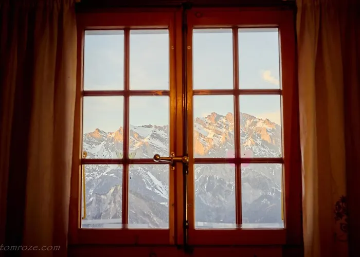 Bouton D Or La Tzoumaz