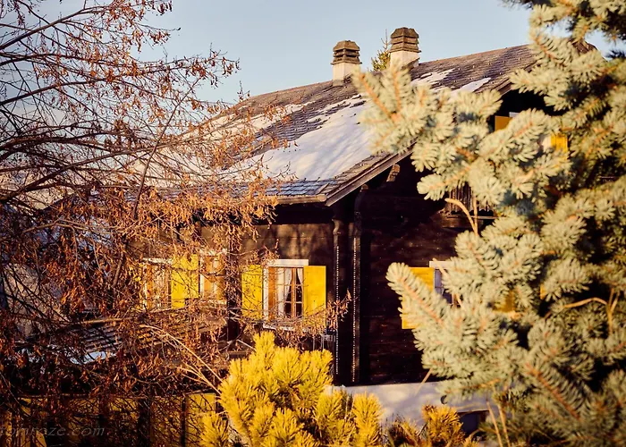 Chalet Bouton D Or La Tzoumaz