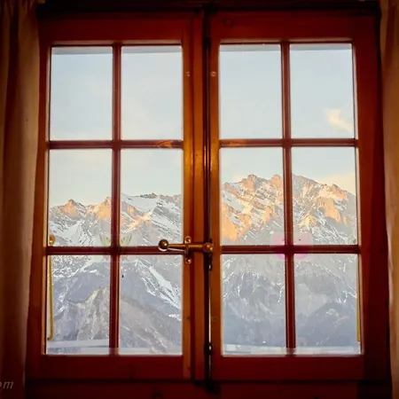 Bouton D Or La Tzoumaz