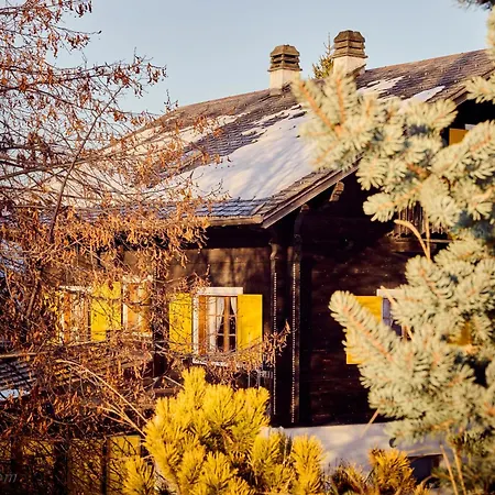 Dağ evi Bouton D Or La Tzoumaz