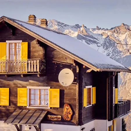 Alpstuga Bouton D Or *